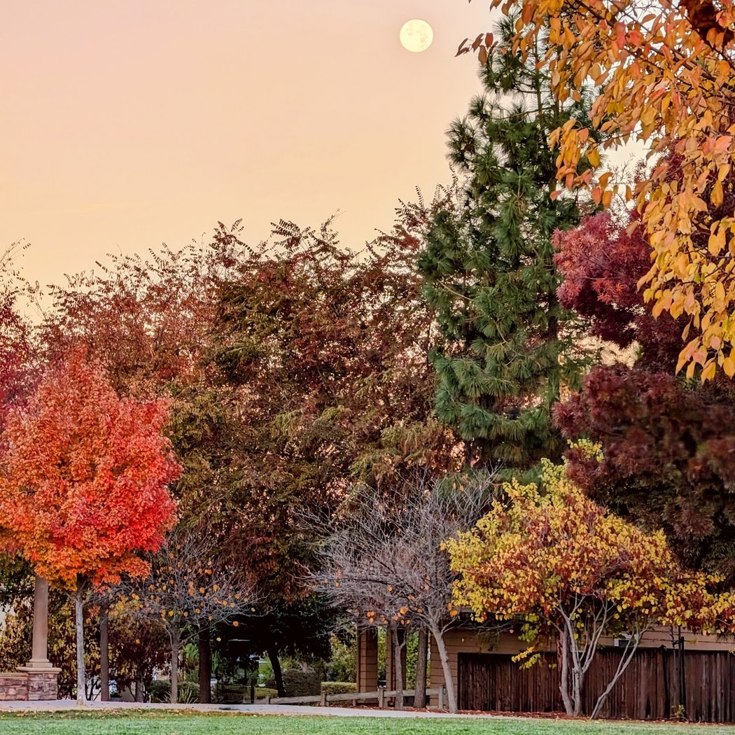 Falls Creek Park 1