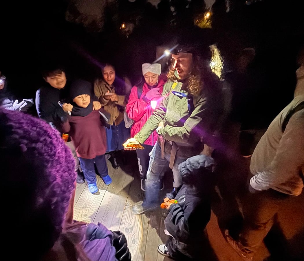 Free Presidio Night Walk: Meet Nocturnal Creatures 1