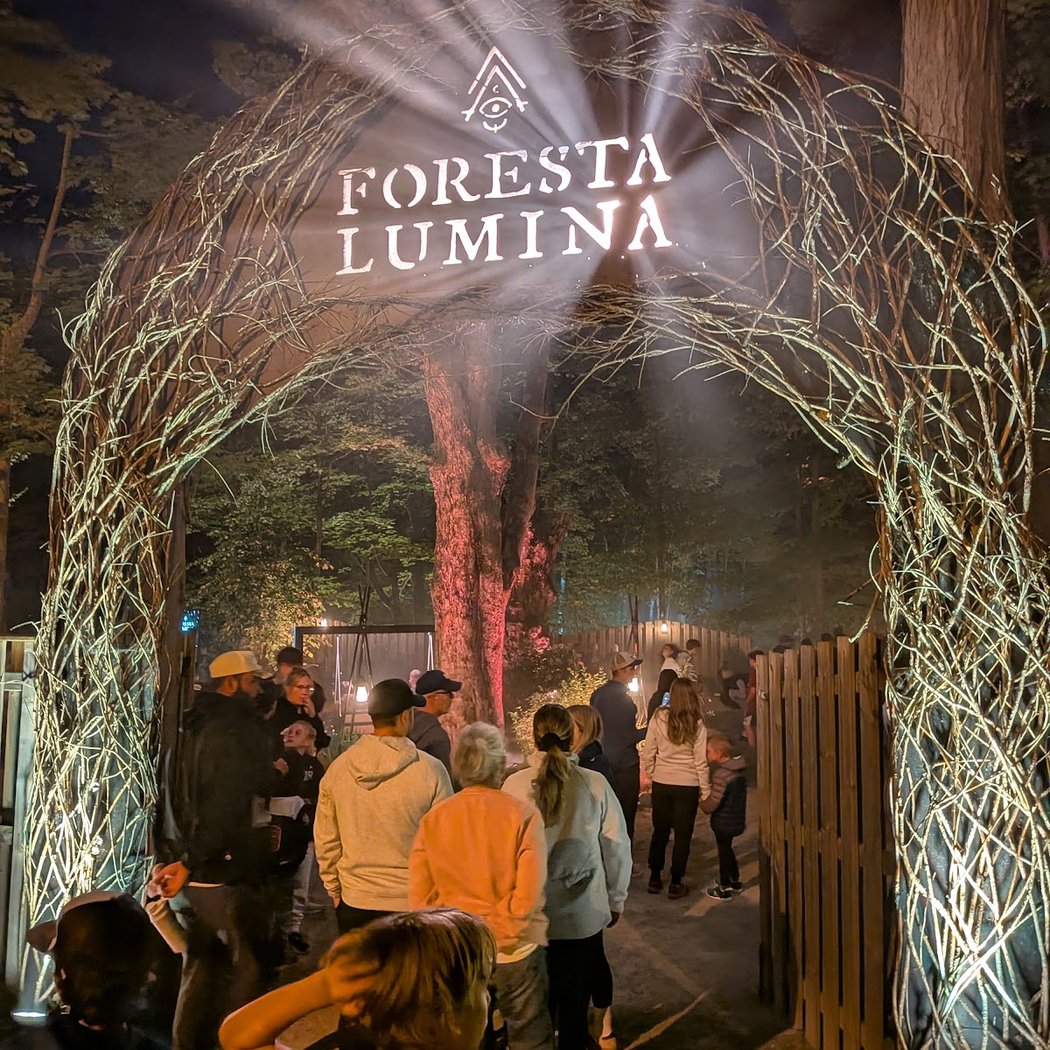 Foresta Lumina 3