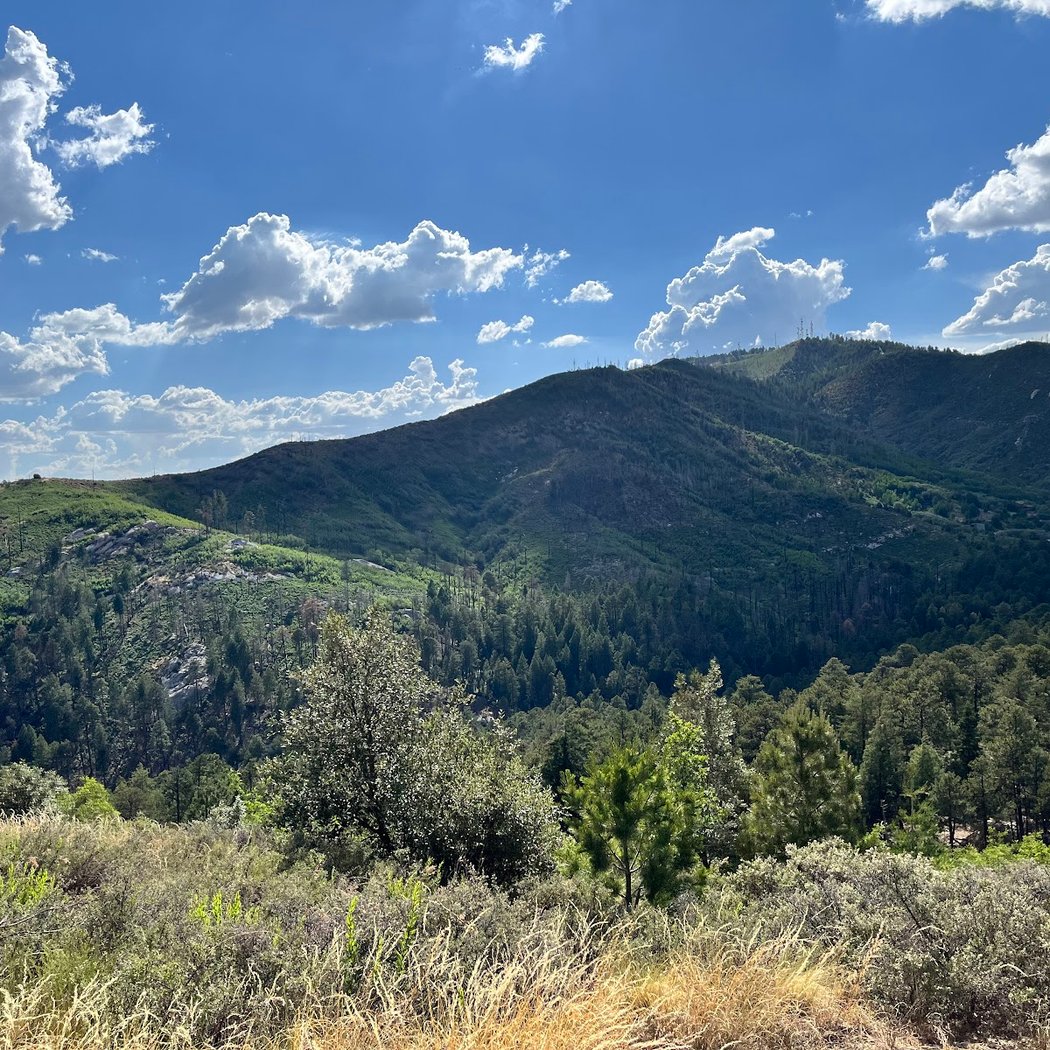 Mount Lemmon Trailhead Entrance 2