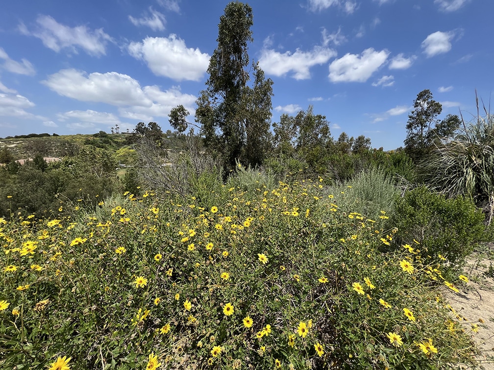 Citrus Ranch Park 2
