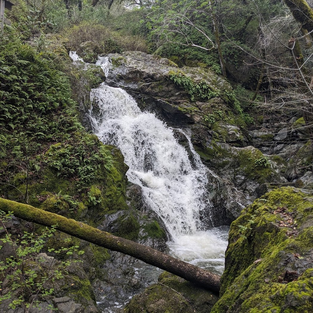Cascade Canyon Preserve 2