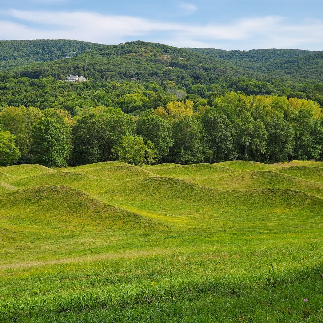 Storm King Wavefield 1