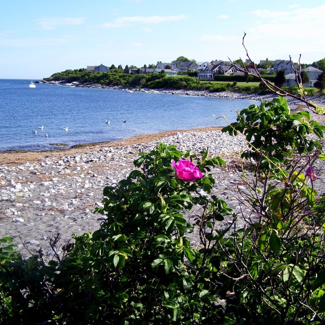 Hull Cove 1