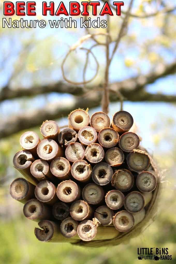 Build A Beehouse 2