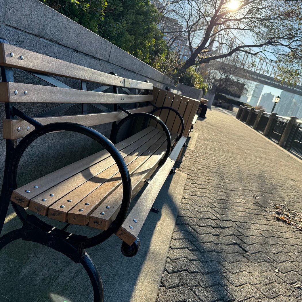 Steve Flack's Bench 1