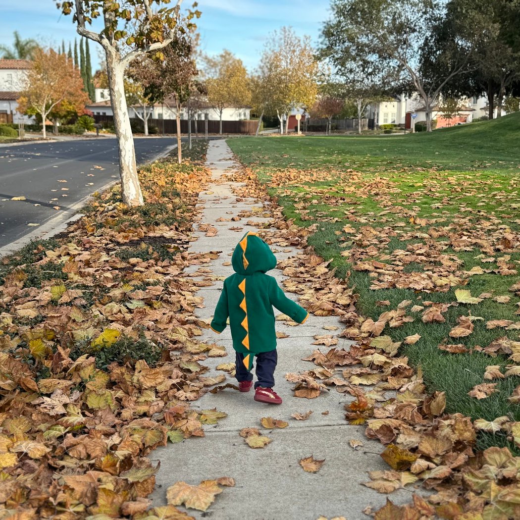 Windy Hills Park 1