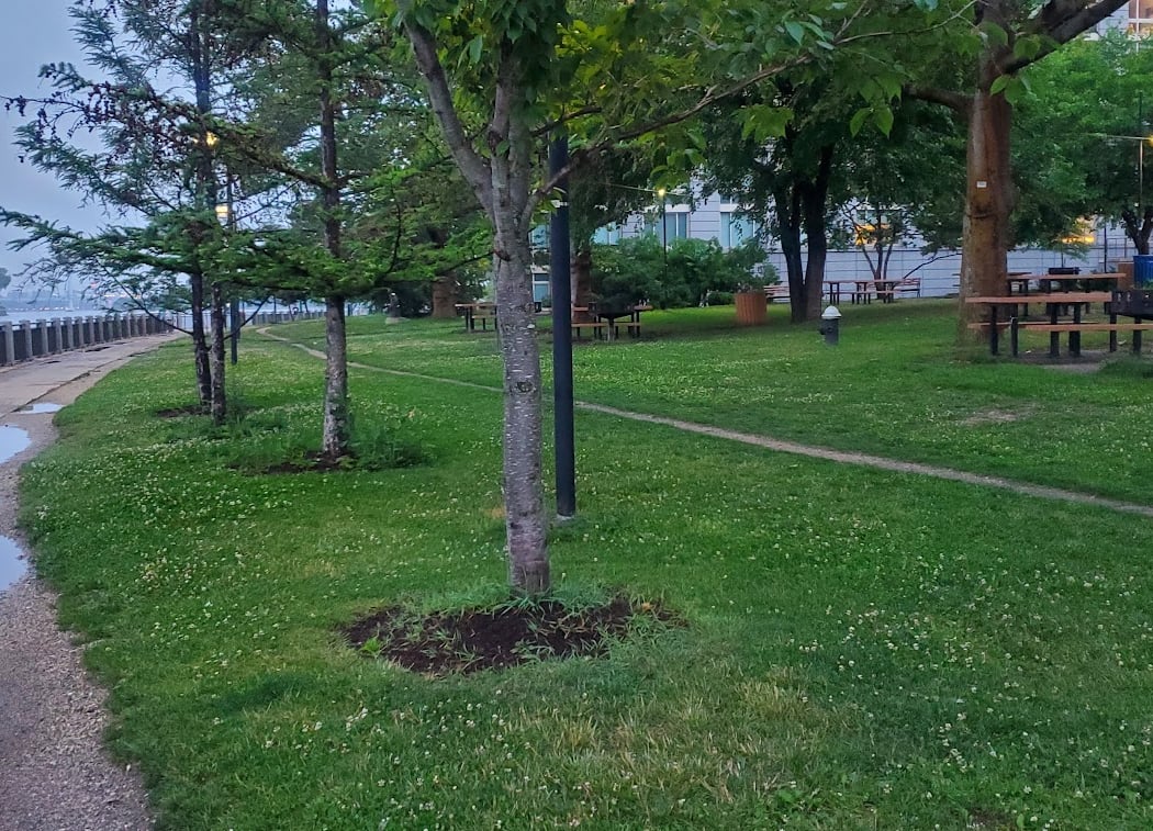 Octagon Park 2