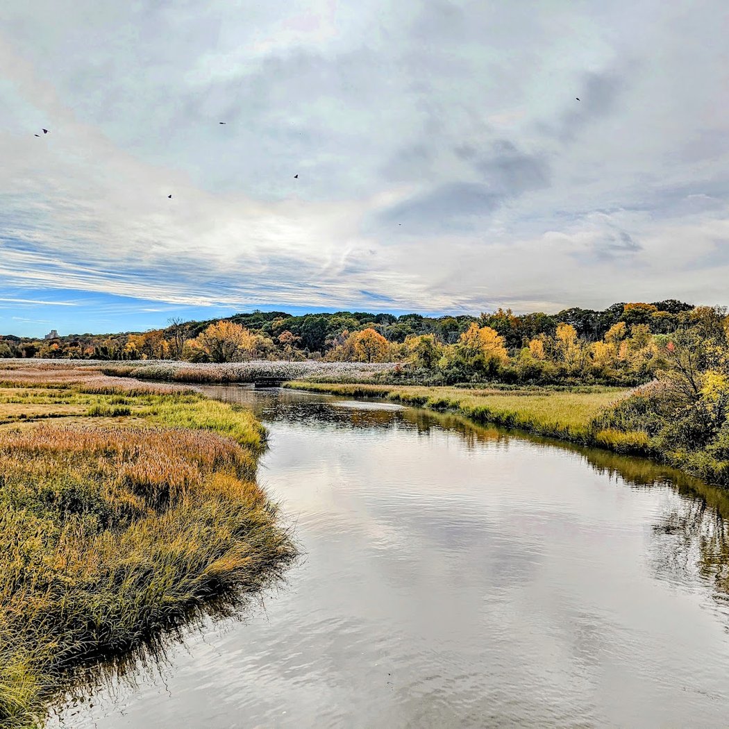 Alley Pond Park Trail 2