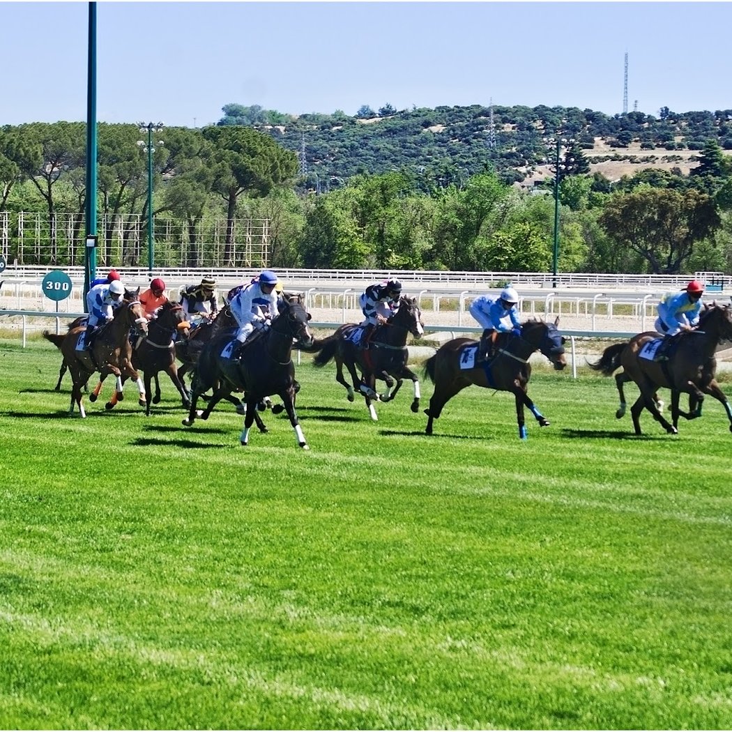 Hipódromo de la Zarzuela 1