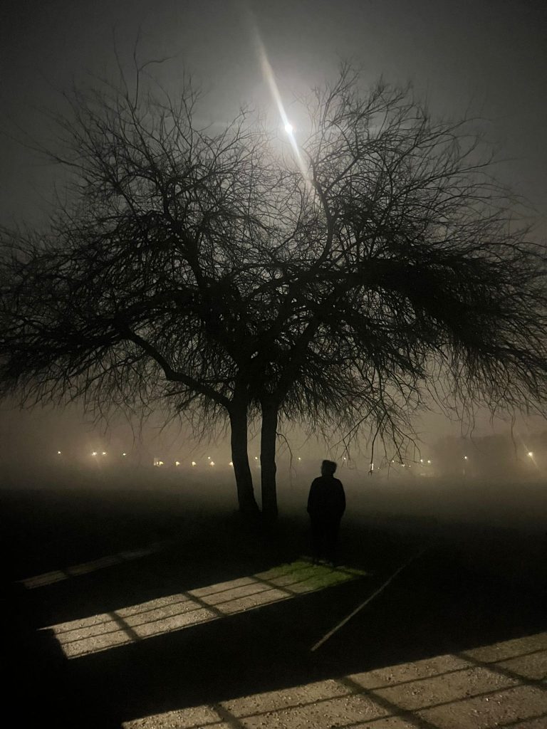 Noir 1