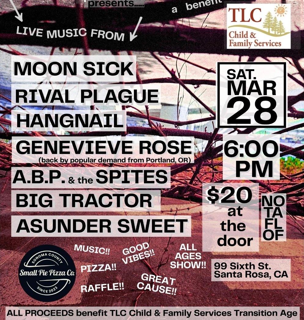 2nd Annual Benefit Concert for TLC Child and Family Services 1