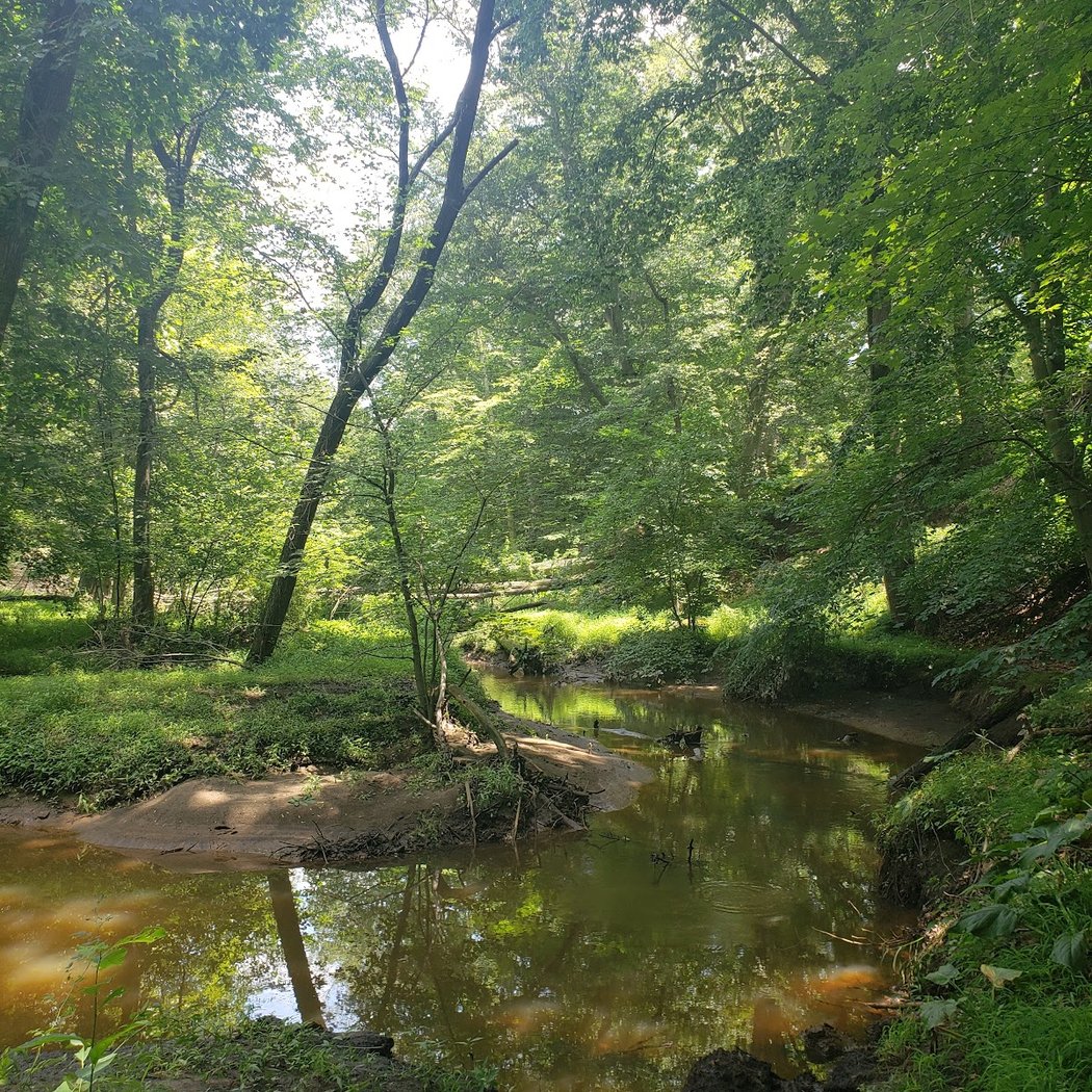 Kresson Trails 3