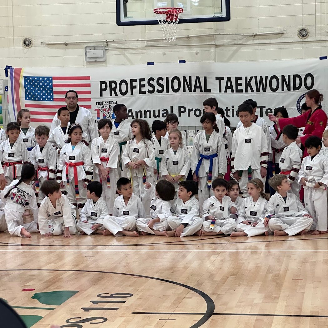 Professional Martial arts Taekwondo Center 3
