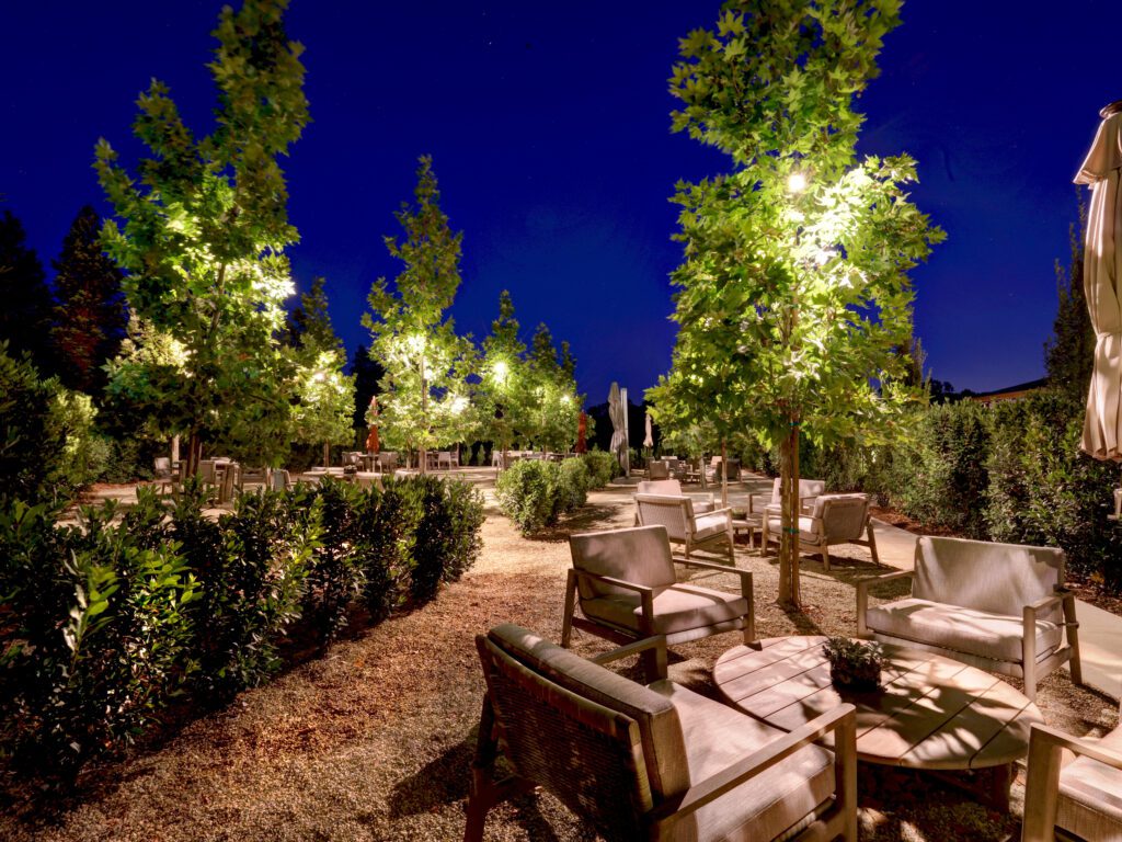 Merriam Vineyards 3