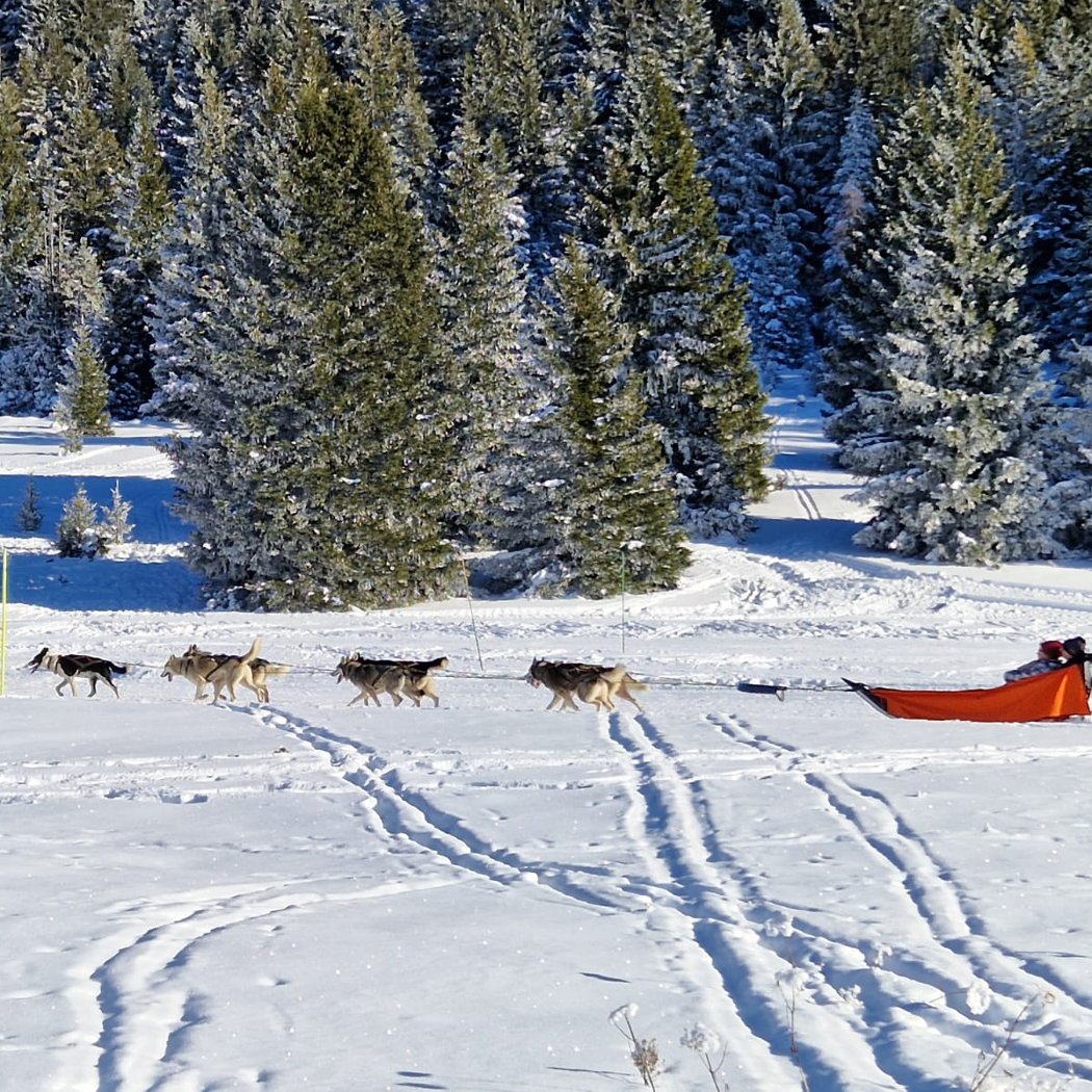 Chamrousse Nordic Park Experience, 2e édition 3
