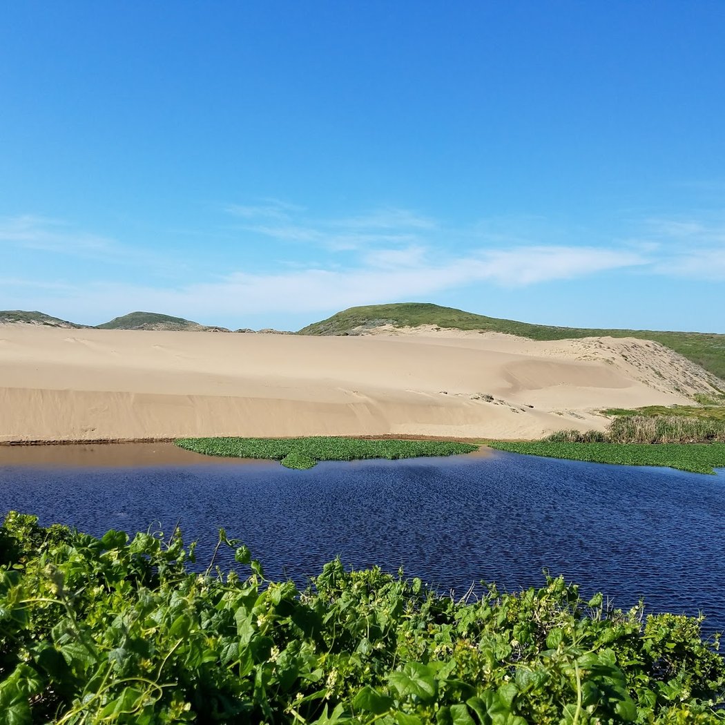 Abbotts Lagoon Trail 1