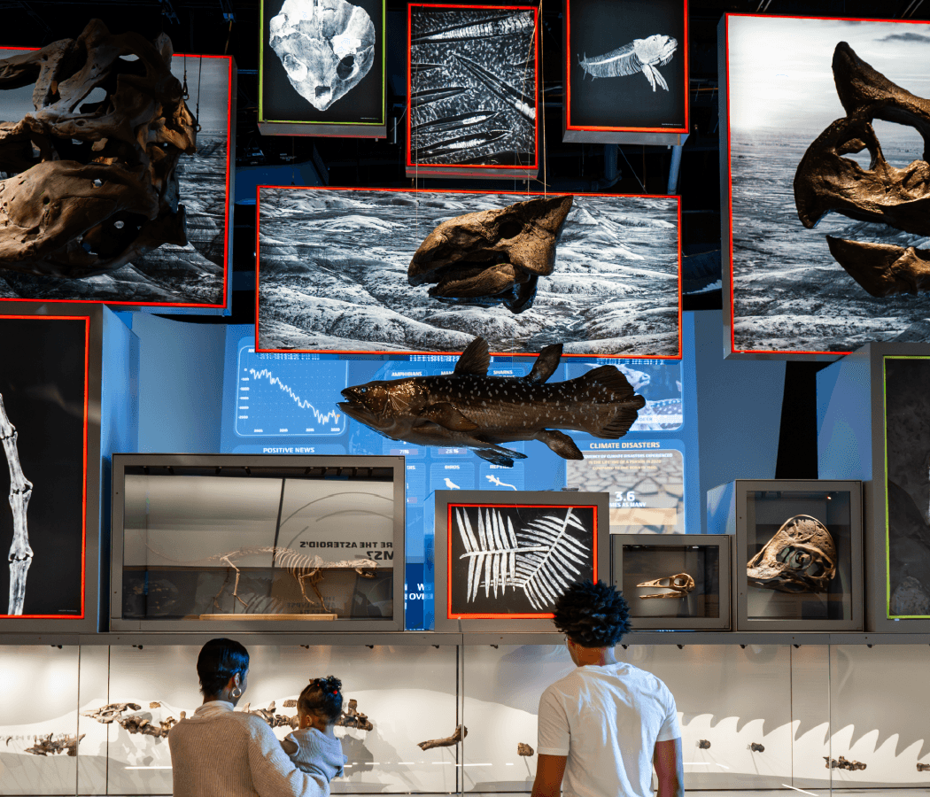 Edelman Fossil Park & Museum — general admission 1