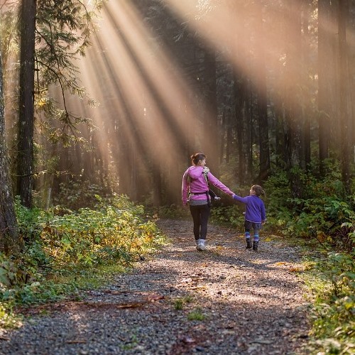 Little Wonders: Into the Woods We’ll Go! 1