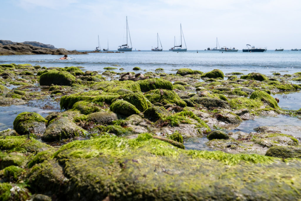 Île d'Yeu 3