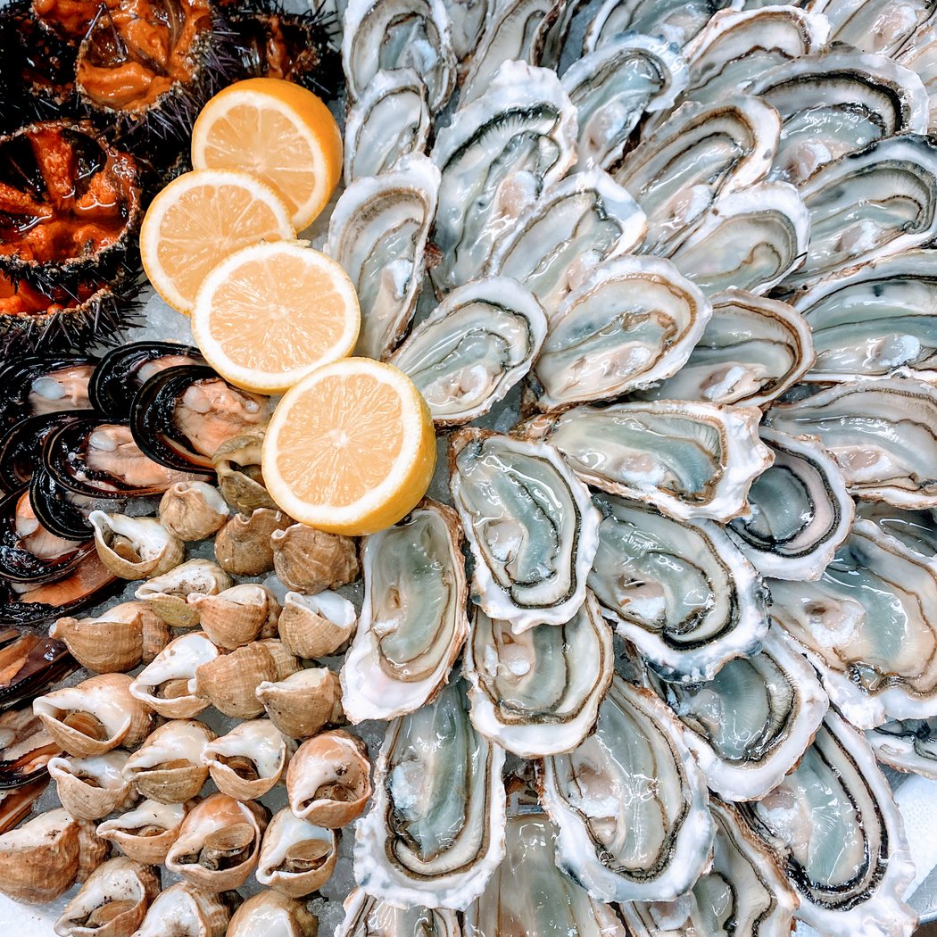Coquillages Henry 1