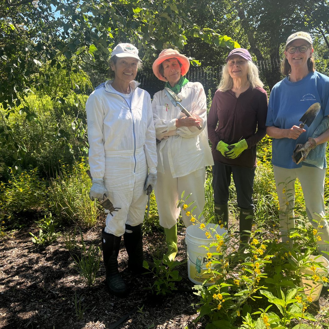 Custer Preserve Native Garden Maintenance 1