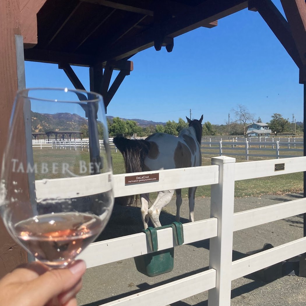 Tamber Bey Winery's Fall Harvest Party 4
