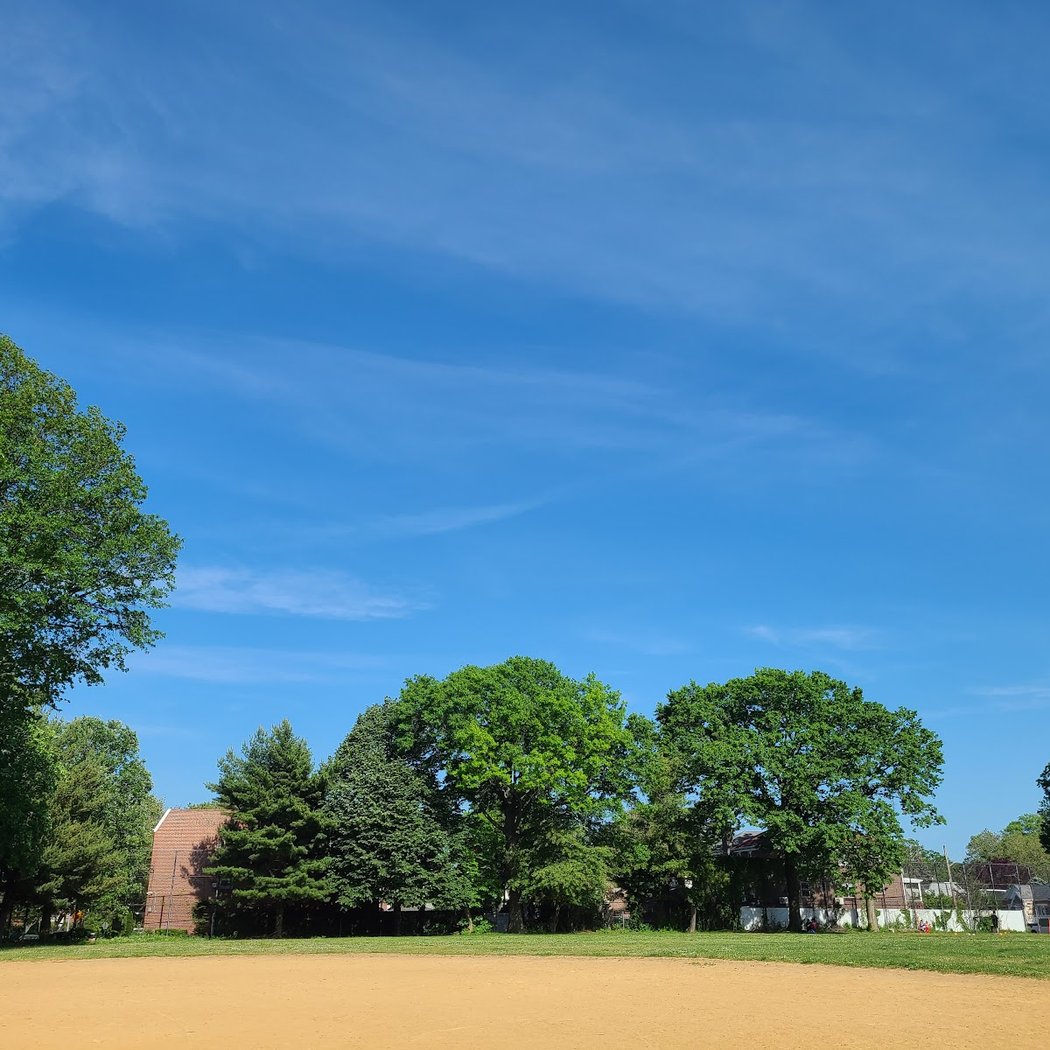 Flushing Fields 3