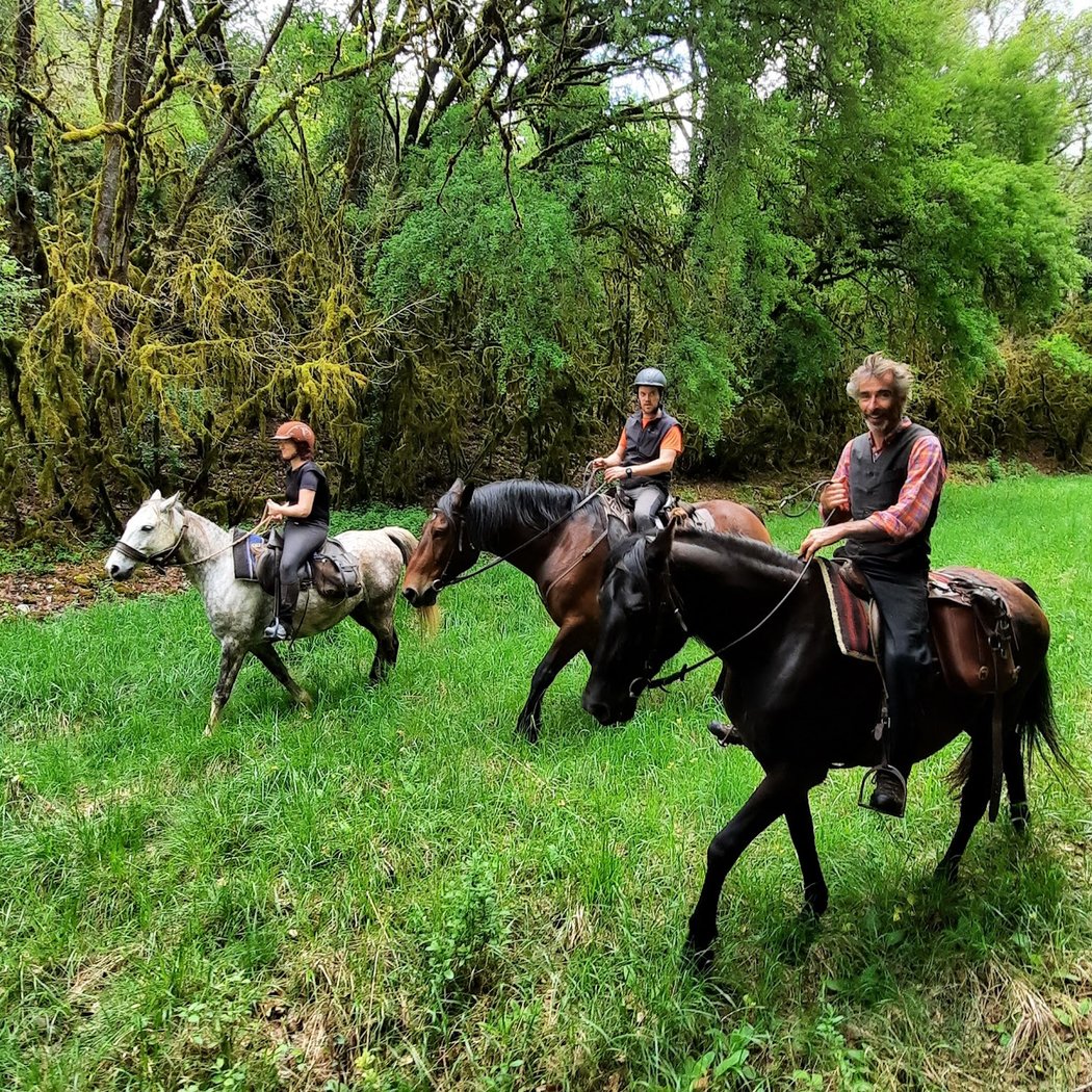 FERME EQUESTRE DU PECH MERLE 3