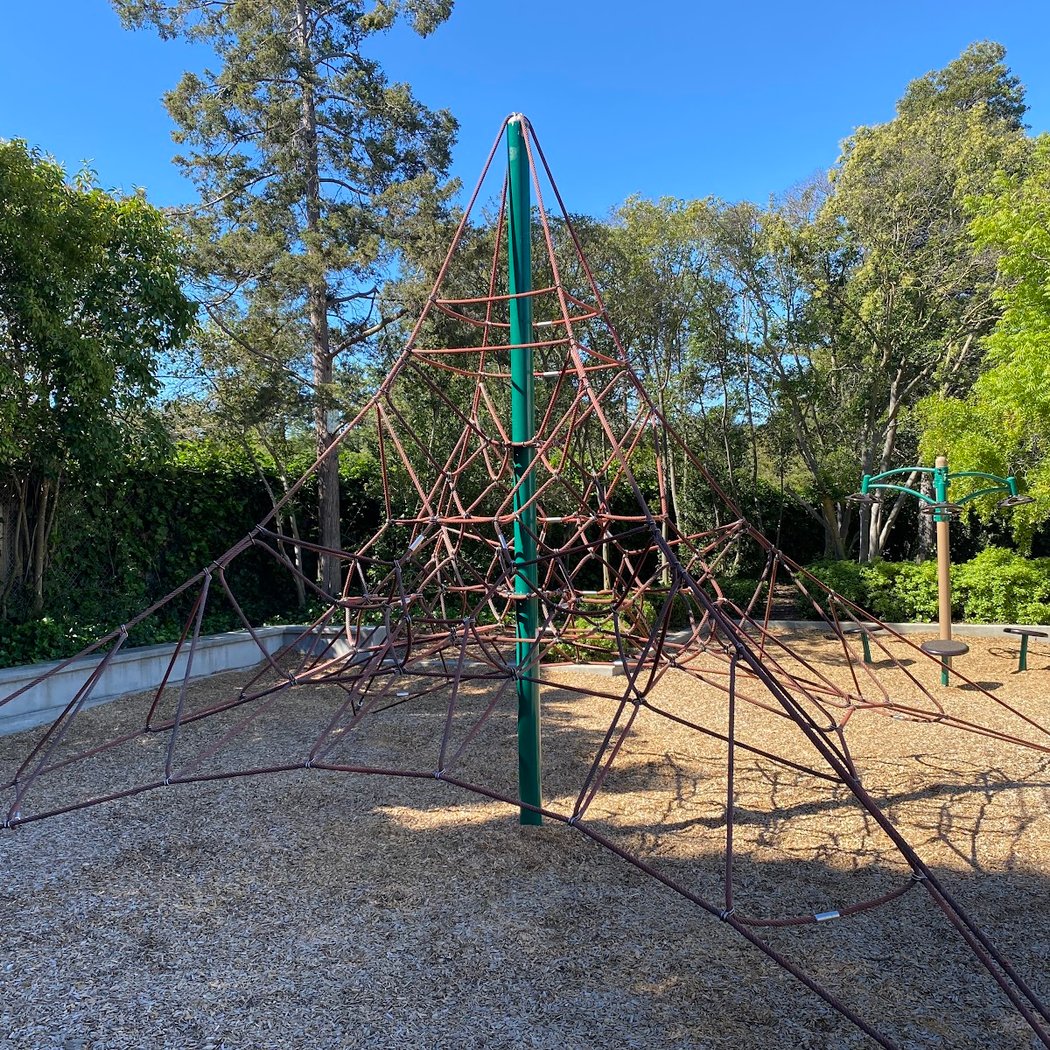 Dove Beeger Park 1