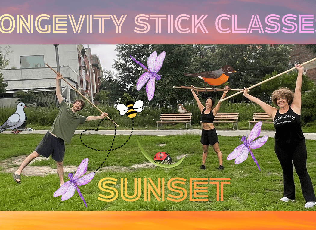Longevity Stick Class (FRIDAY SUNSET) 9/11/26