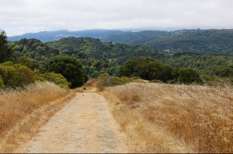 Sobrante Ridge Botanic Regional Preserve 2