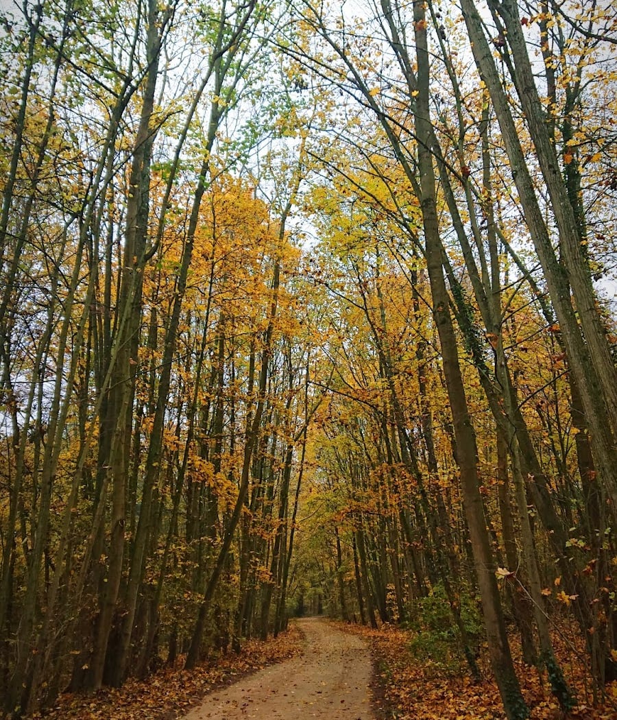 Parc des Tourelles 2