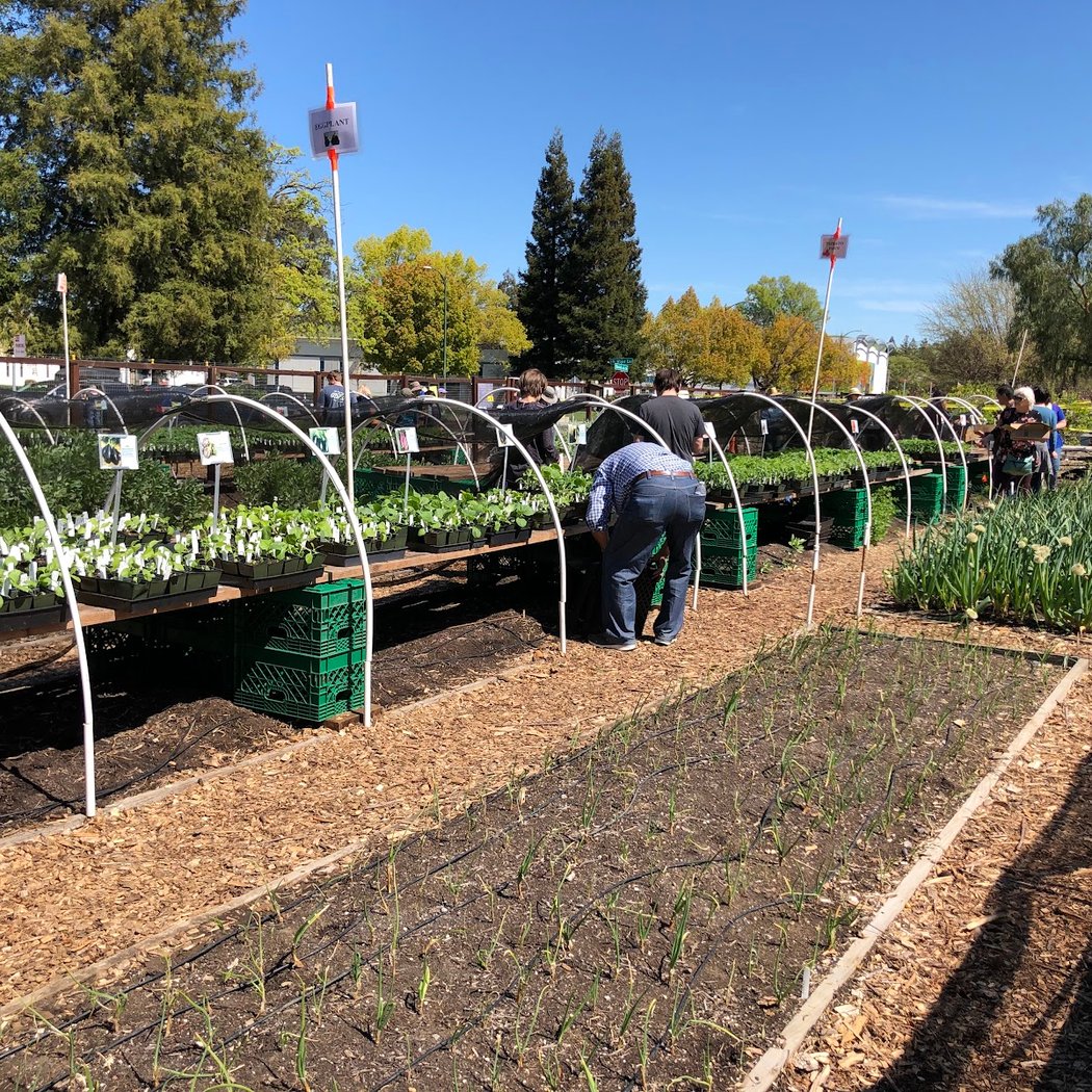 UC Master Gardeners of Contra Costa County 2