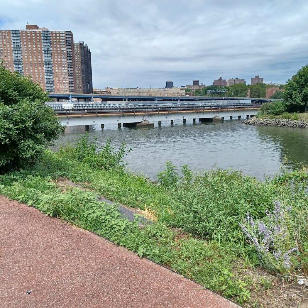Mill Pond Park 5