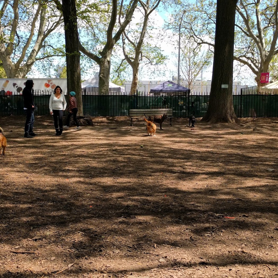 McCarren Park Dog Run 3