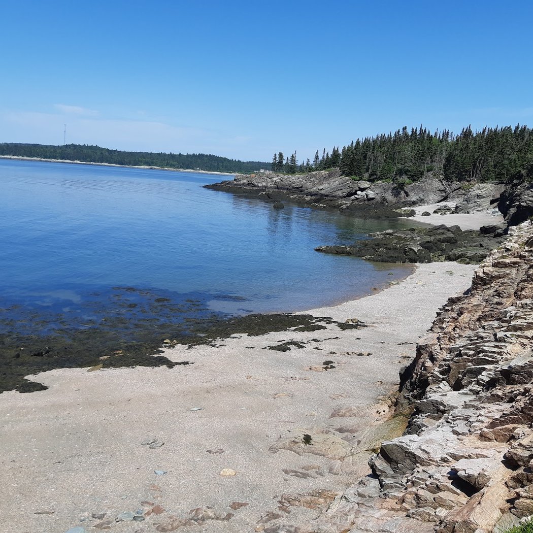 New River Beach 2