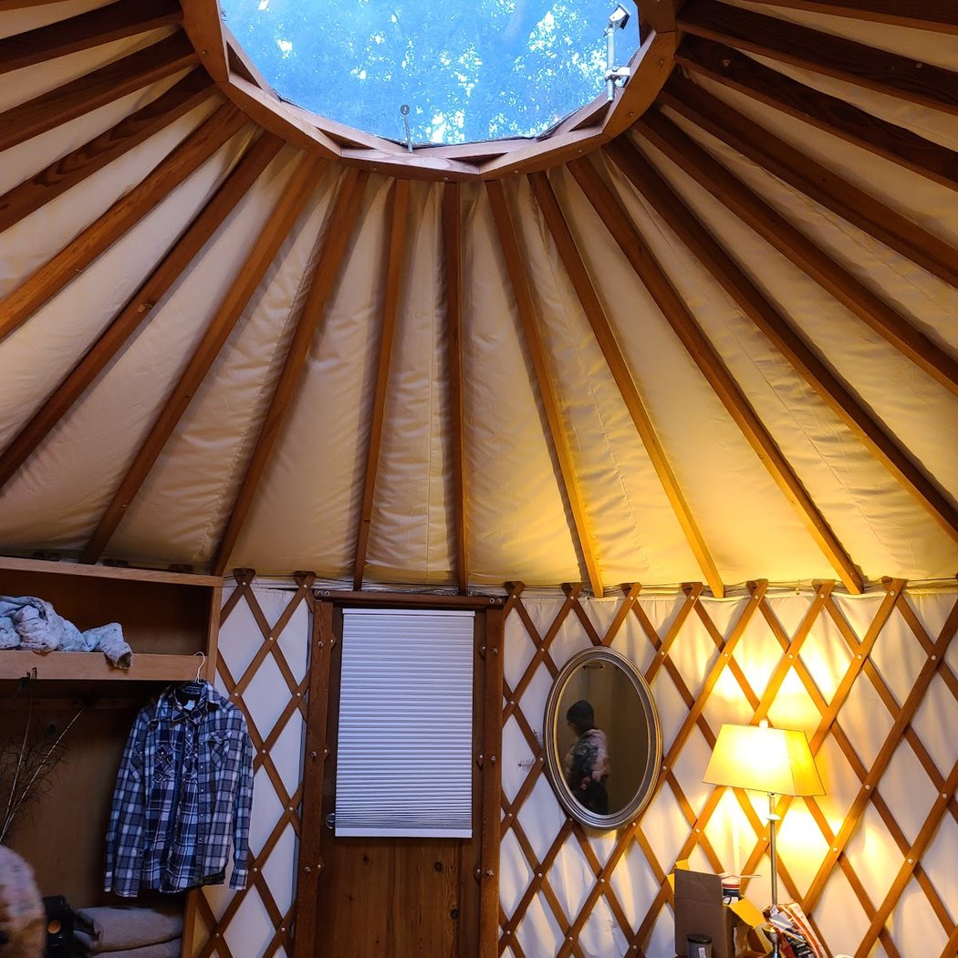 Lupin Lodge 3