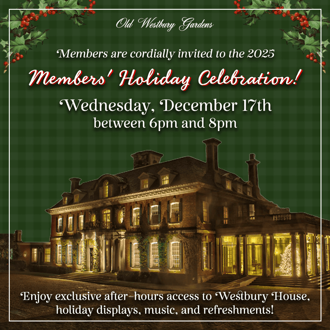 Members' Holiday Celebration 1