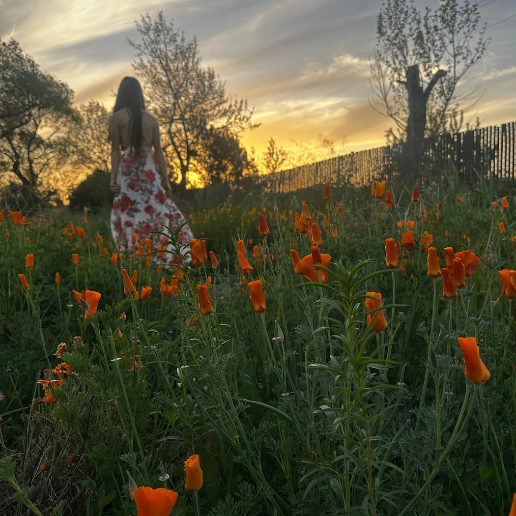 You-Pick Flowers 5
