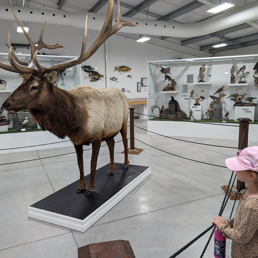 Musée de la nature 1