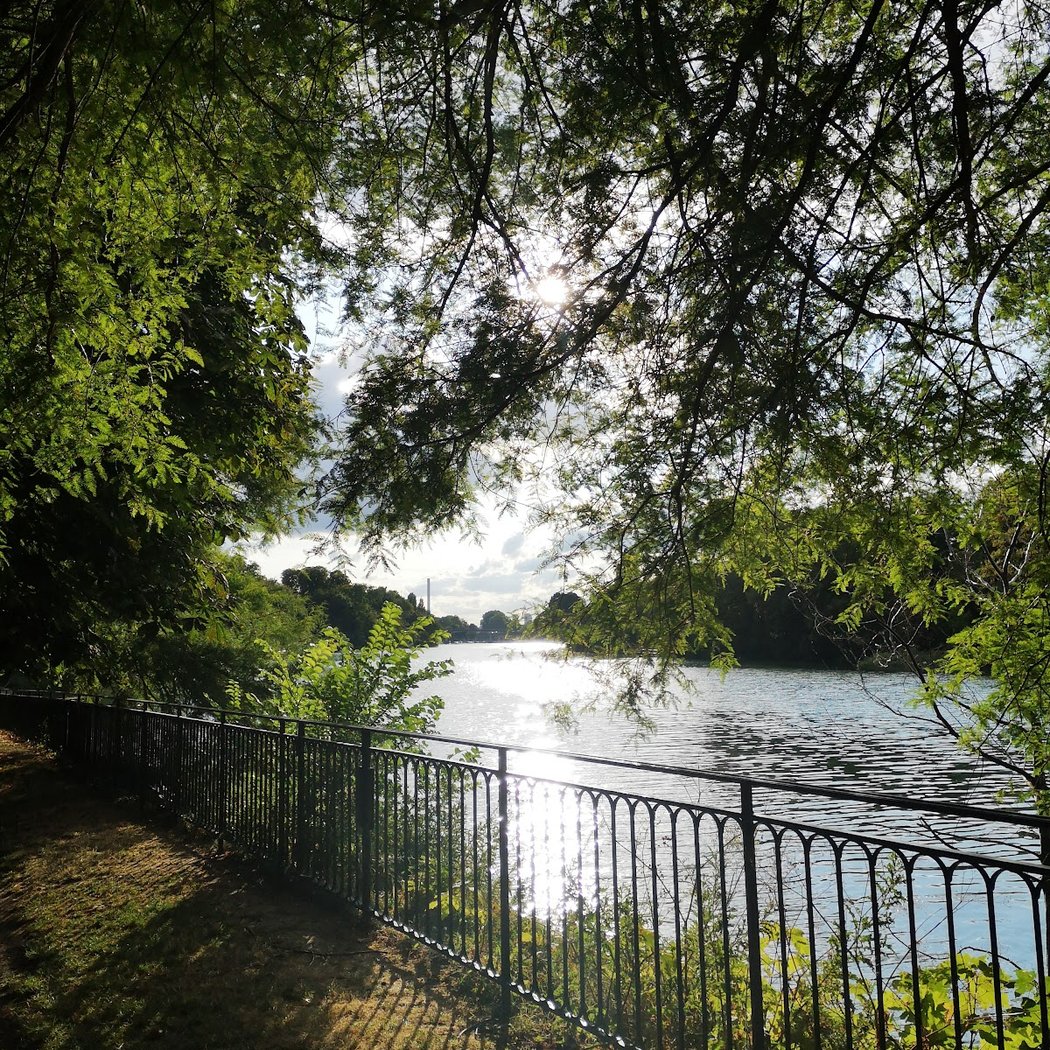 Île du Moulin Brûlé 2