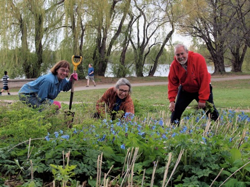 Nokomis Naturescape Gardening Volunteer Session 1