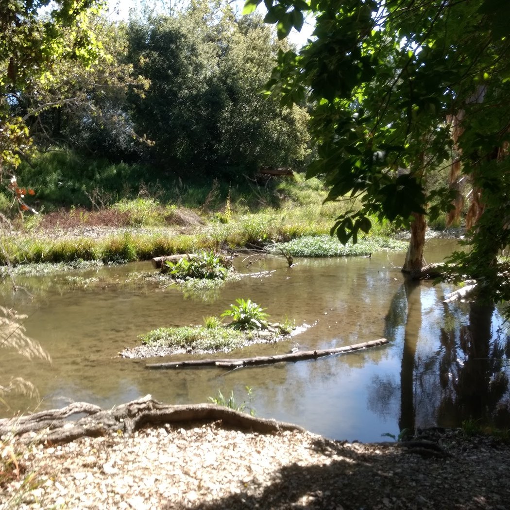 Coyote Creek Trail, San Jose, CA 3