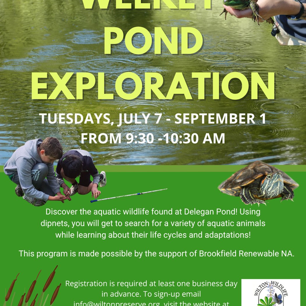 Weekly Pond Exploration 1