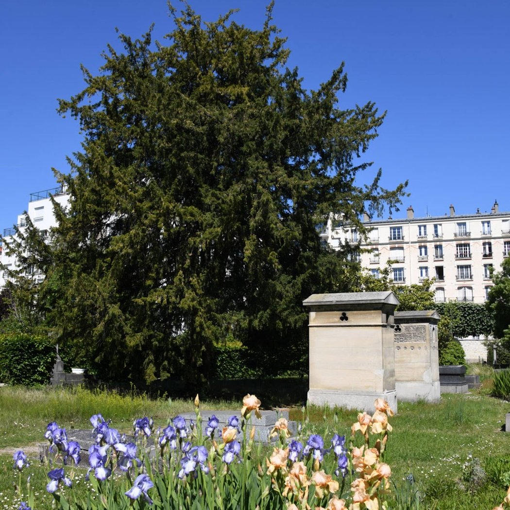 Parc du Vieux cimetière 1