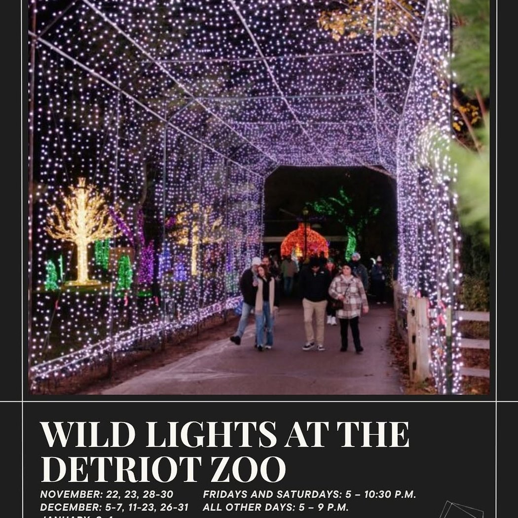 Wild Lights 1