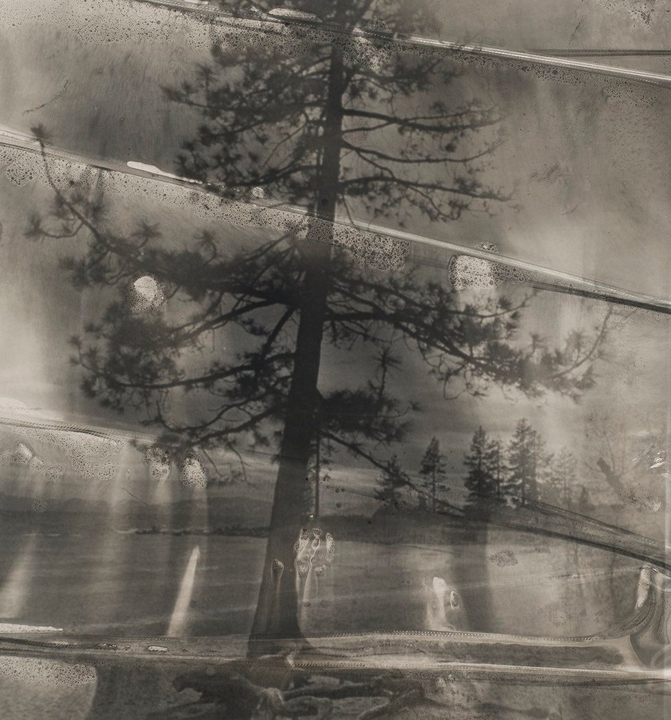 Salon Jane: Resonance 1