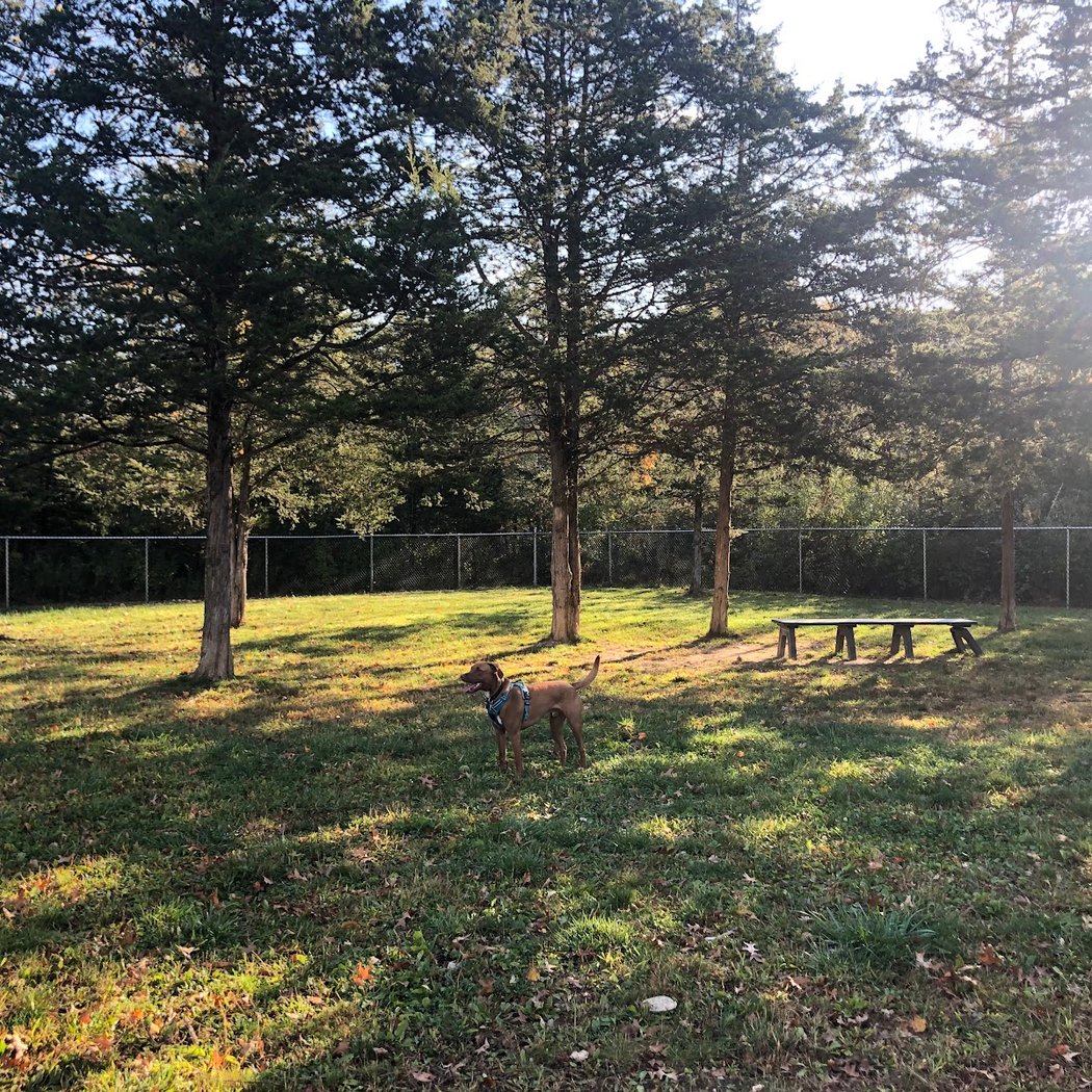 Ulster County Dog Park 1