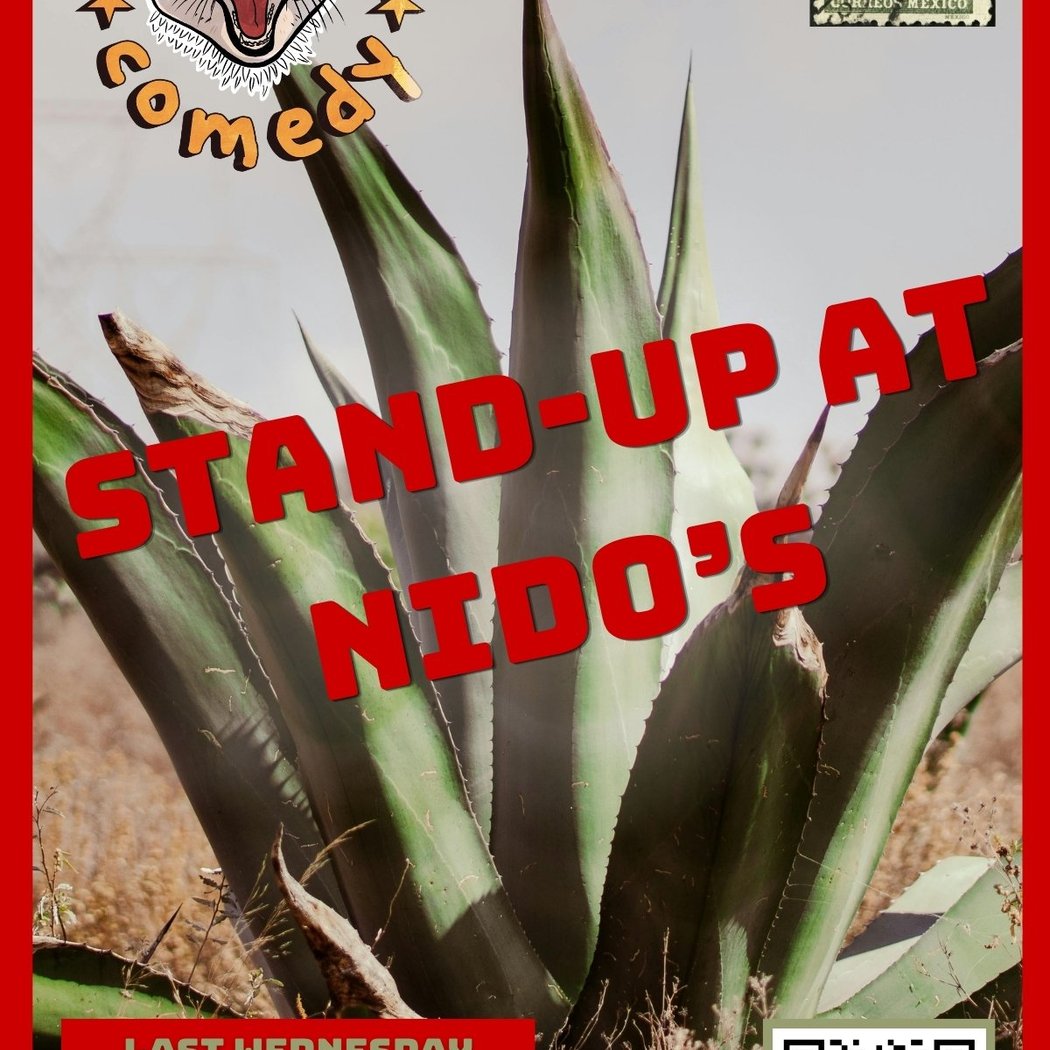 STAND UP COMEDY